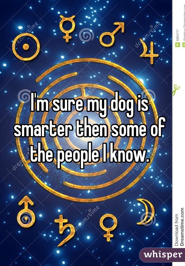I'm sure my dog is smarter then some of the people I know. 