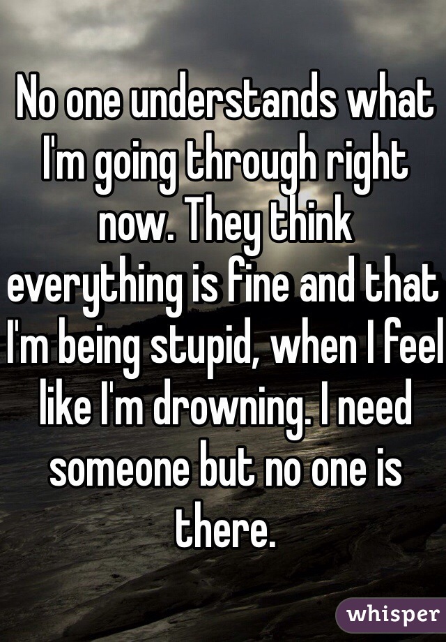 No one understands what I'm going through right now. They think everything is fine and that I'm being stupid, when I feel like I'm drowning. I need someone but no one is there.