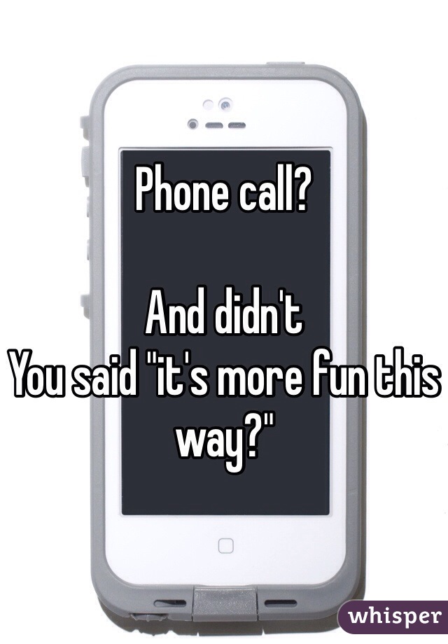 Phone call?

And didn't
You said "it's more fun this way?"