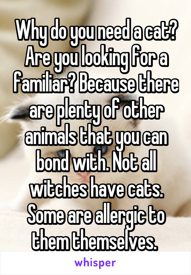 Why do you need a cat? Are you looking for a familiar? Because there are plenty of other animals that you can bond with. Not all witches have cats. Some are allergic to them themselves. 