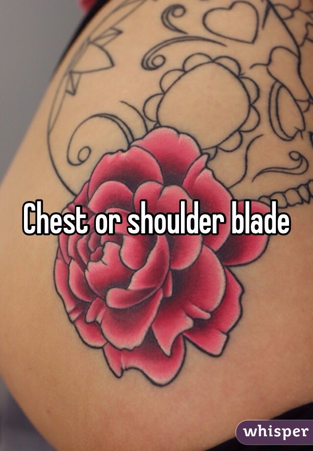 Chest or shoulder blade 