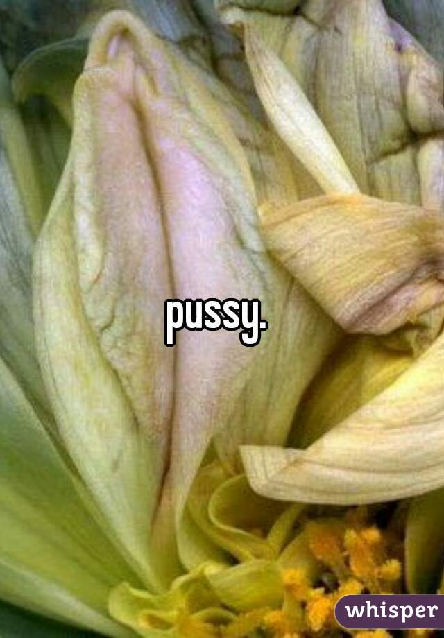 pussy. 