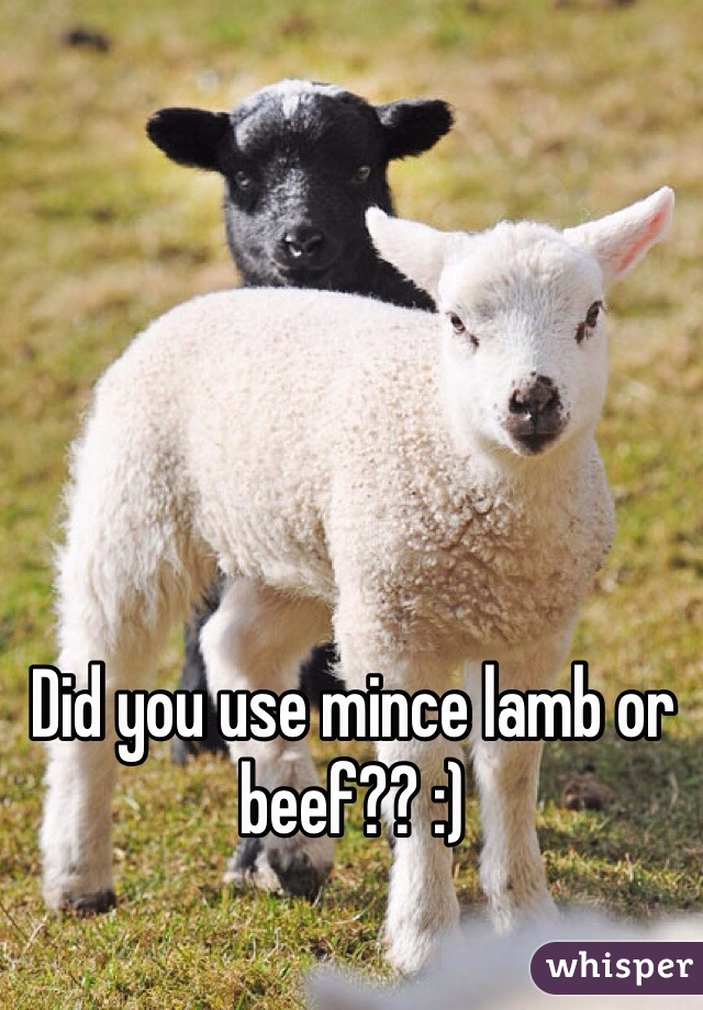 Did you use mince lamb or beef?? :)