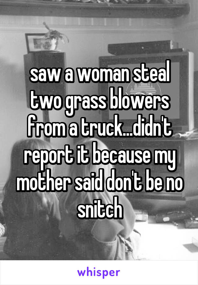 saw a woman steal two grass blowers from a truck...didn't report it because my mother said don't be no snitch