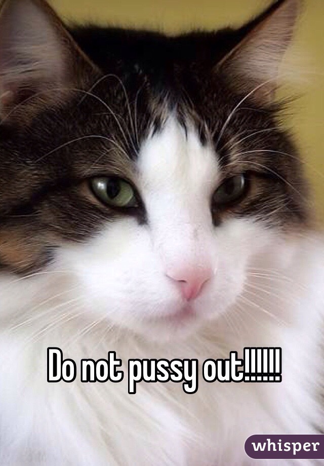 Do not pussy out!!!!!!