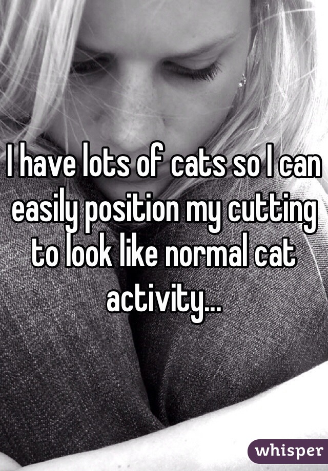 I have lots of cats so I can easily position my cutting to look like normal cat activity... 