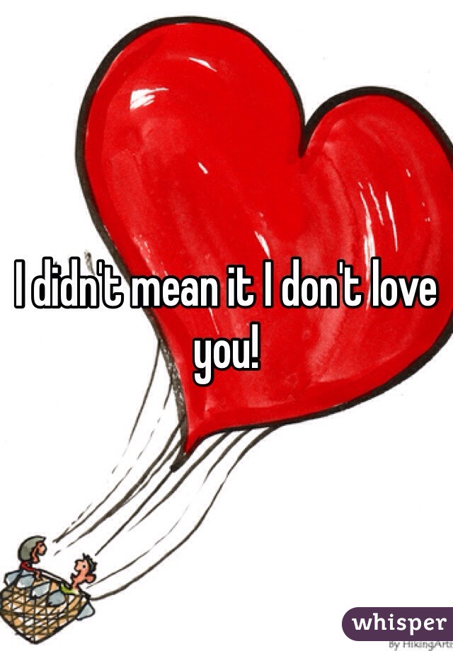 I didn't mean it I don't love you!