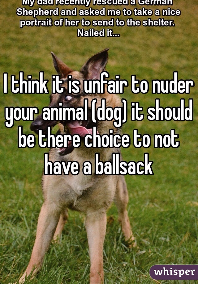 I think it is unfair to nuder your animal (dog) it should be there choice to not have a ballsack
