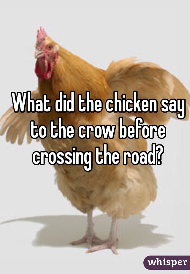 What did the chicken say to the crow before crossing the road?