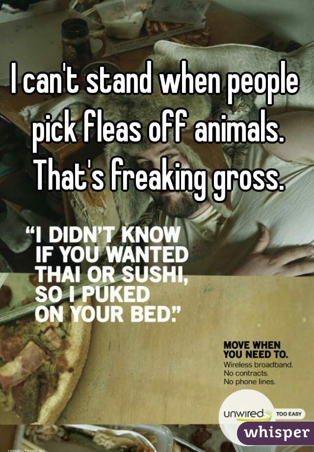 I can't stand when people pick fleas off animals. That's freaking gross.