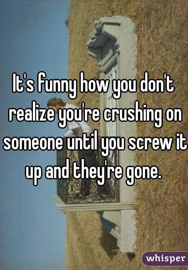 It's funny how you don't realize you're crushing on someone until you screw it up and they're gone. 