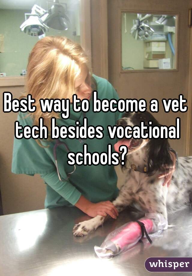 Best way to become a vet tech besides vocational schools?