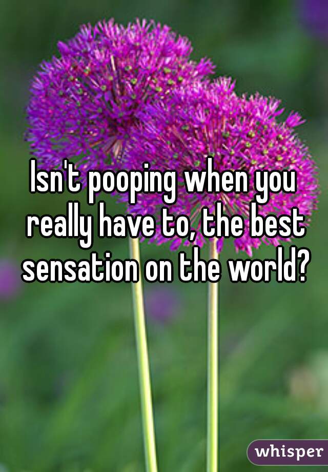 Isn't pooping when you really have to, the best sensation on the world?