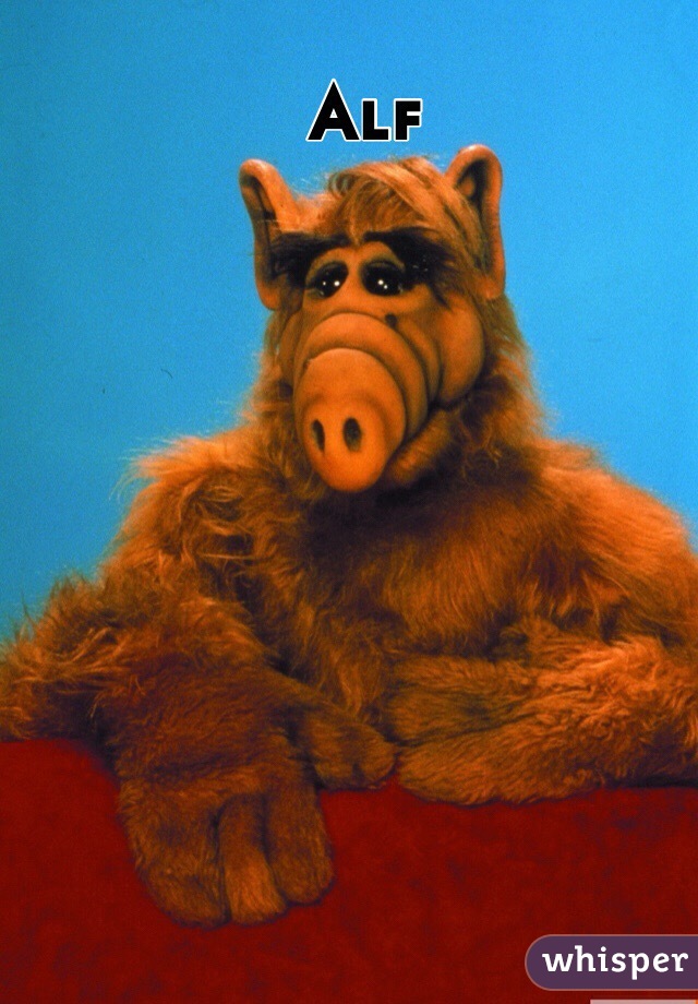 Alf