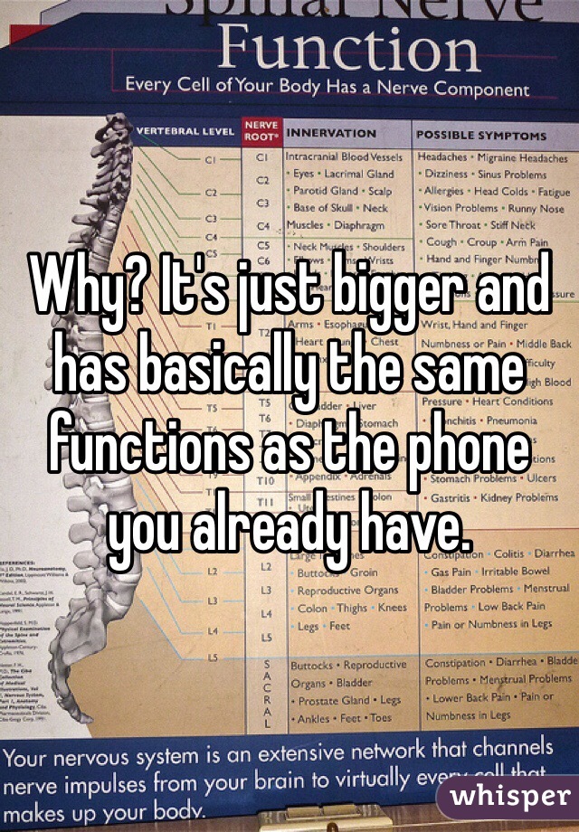 Why? It's just bigger and has basically the same functions as the phone you already have.