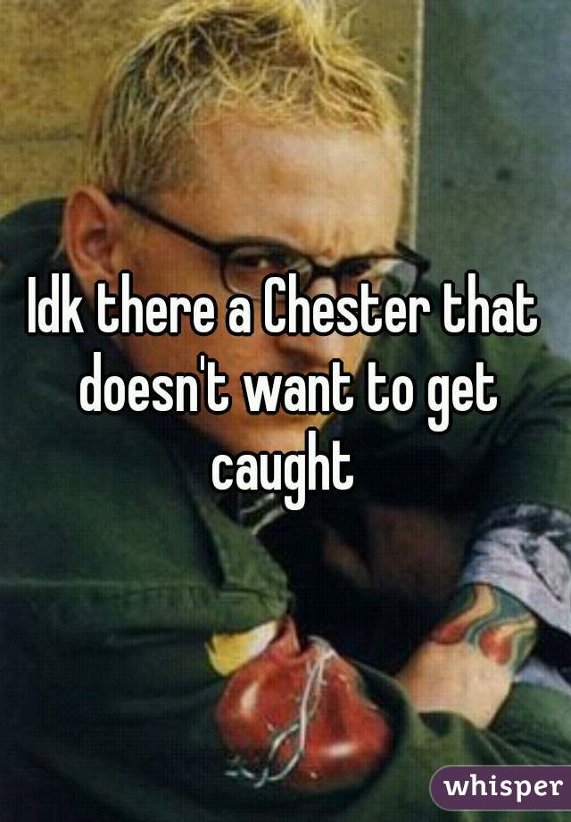 Idk there a Chester that doesn't want to get caught 