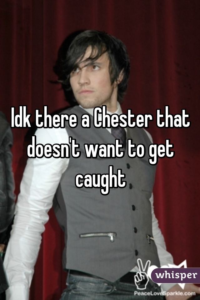 Idk there a Chester that doesn't want to get caught