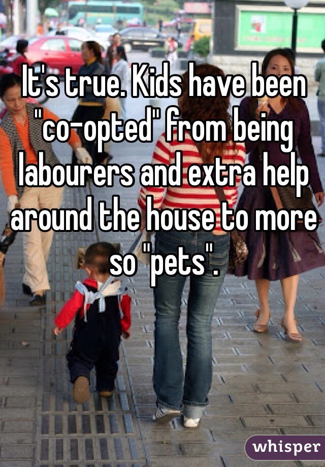 It's true. Kids have been "co-opted" from being labourers and extra help around the house to more so "pets". 