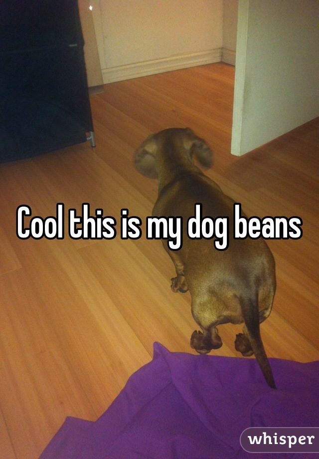 Cool this is my dog beans 