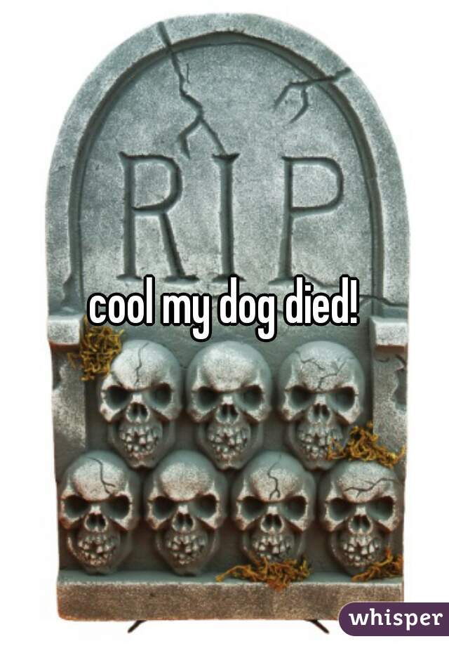 cool my dog died!