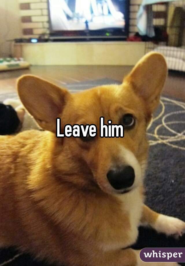 leave-him