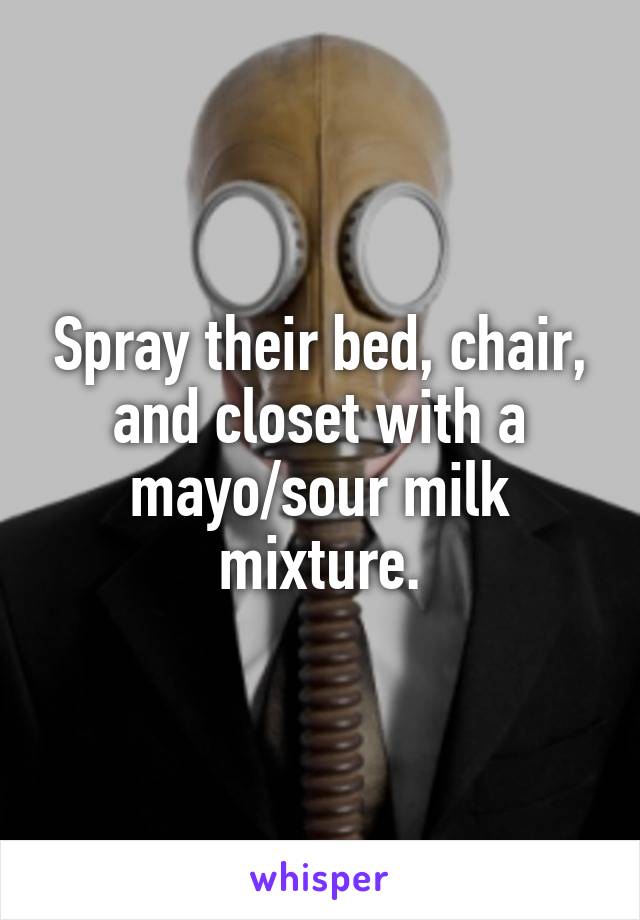 Spray their bed, chair, and closet with a mayo/sour milk mixture.