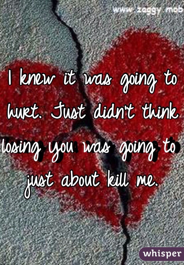 I knew it was going to hurt. Just didn't think losing you was going to just about kill me. 