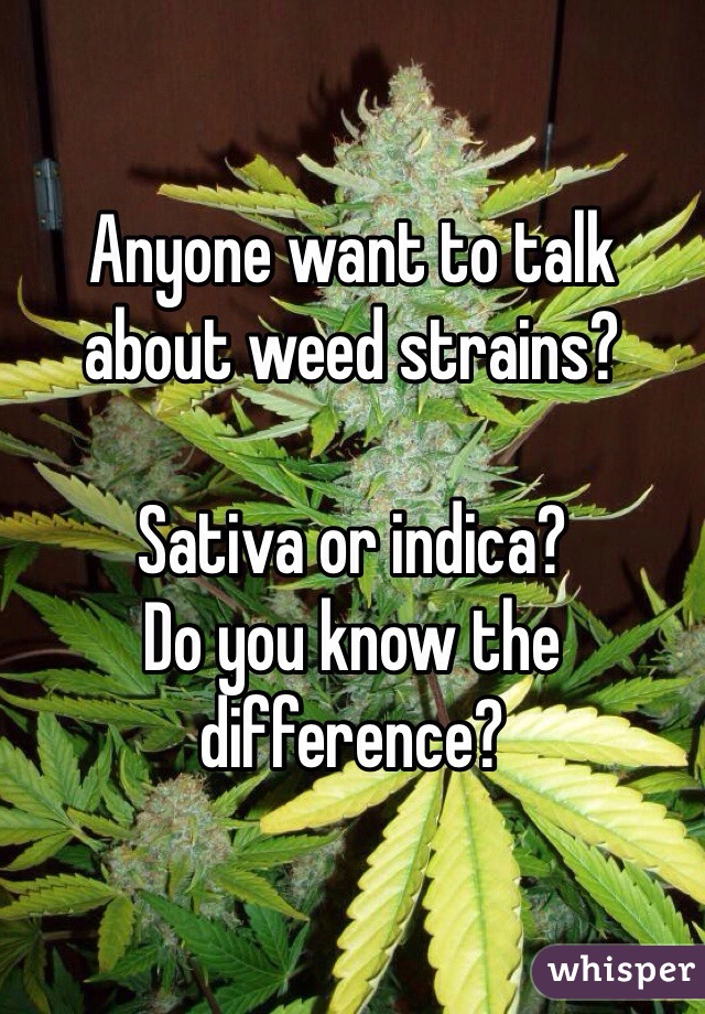 Anyone want to talk about weed strains?

Sativa or indica?
Do you know the difference?