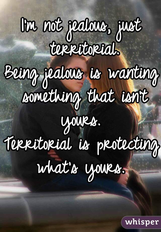 Im Not Jealous Just Territorial Being Jealous Is Wanting Something That Isnt Yours 0041