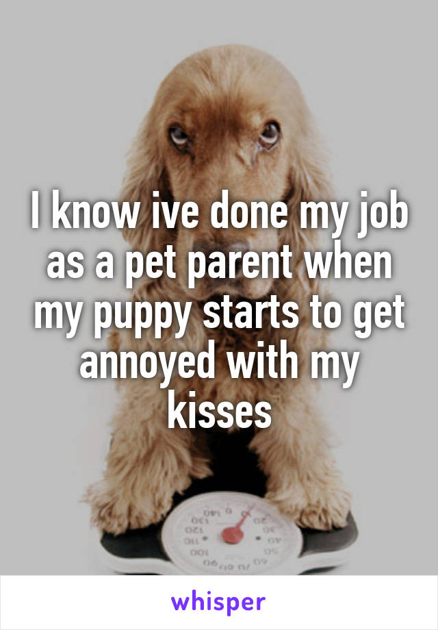 I know ive done my job as a pet parent when my puppy starts to get annoyed with my kisses