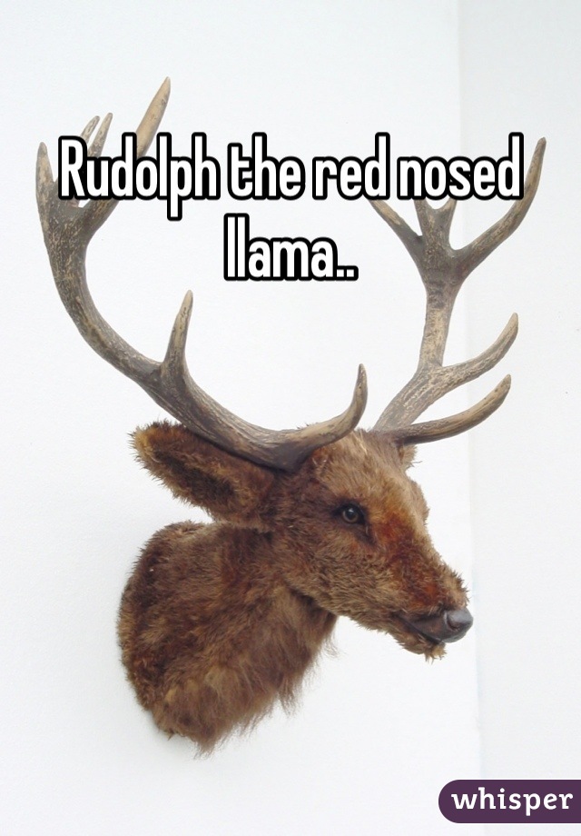 Rudolph the red nosed llama..
