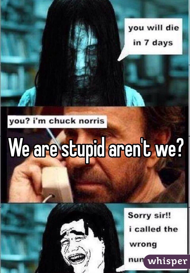 We are stupid aren't we? 