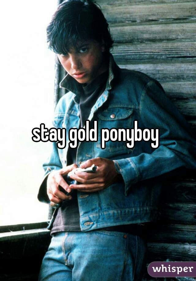 stay gold ponyboy 