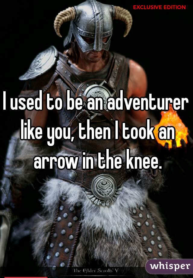 I used to be an adventurer like you, then I took an arrow in the knee.