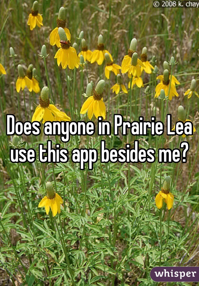 Does anyone in Prairie Lea use this app besides me?
