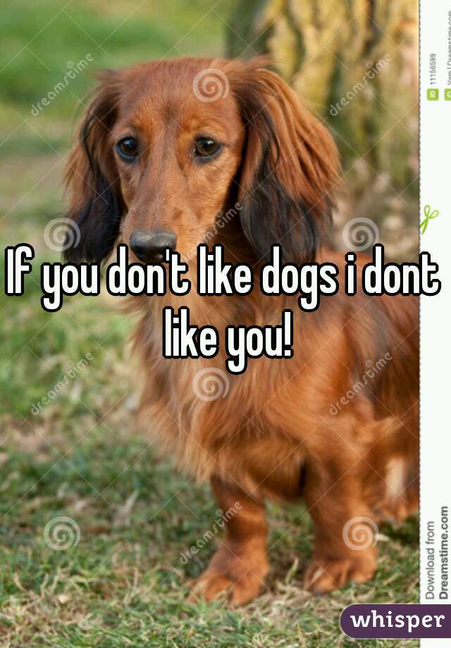 If you don't like dogs i dont like you!