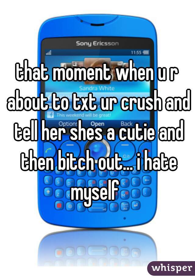 that moment when u r about to txt ur crush and tell her shes a cutie and then bitch out... i hate myself  