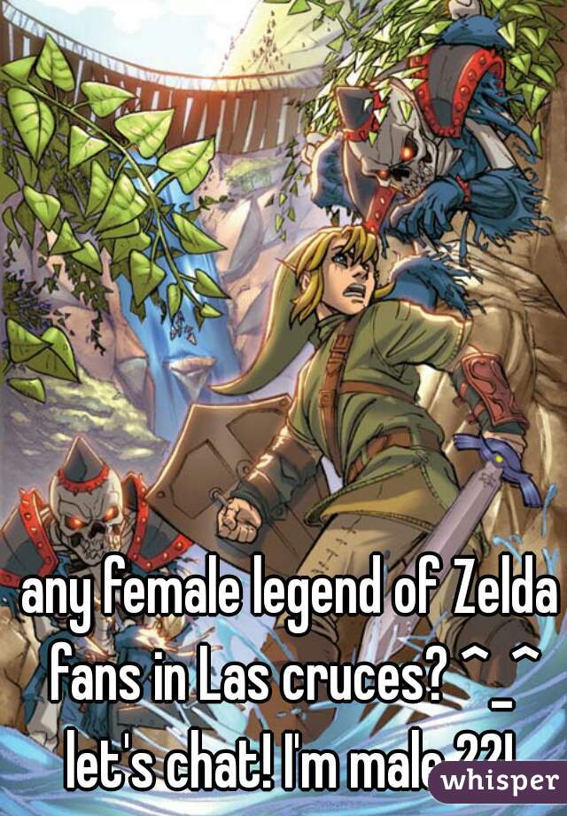 any female legend of Zelda fans in Las cruces? ^_^ let's chat! I'm male 22! 