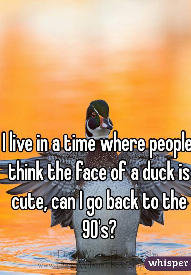I live in a time where people think the face of a duck is cute, can I go back to the 90's?