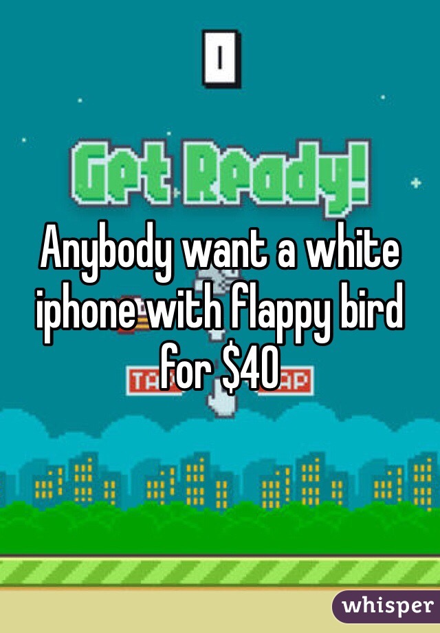 Anybody want a white iphone with flappy bird for $40