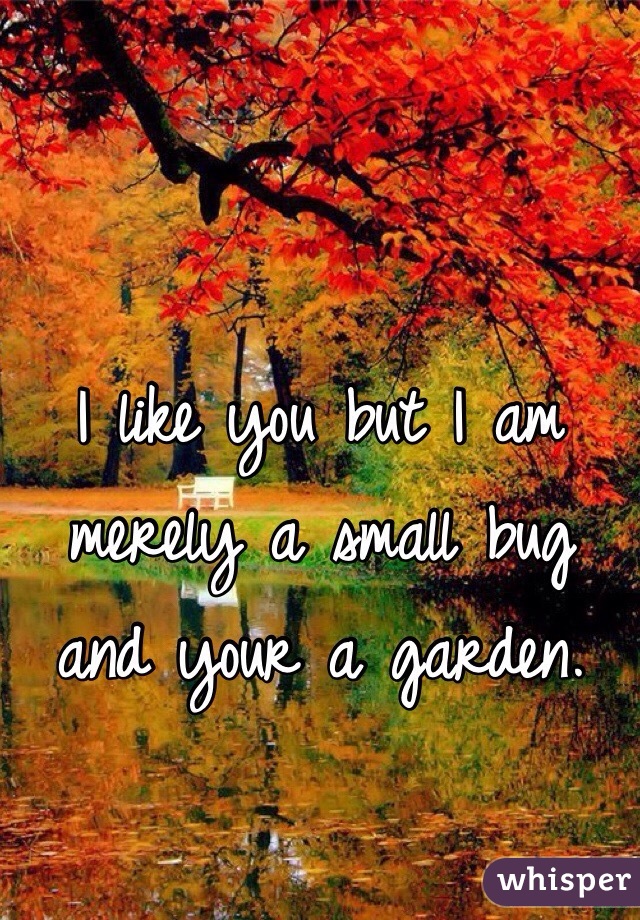I like you but I am merely a small bug and your a garden.