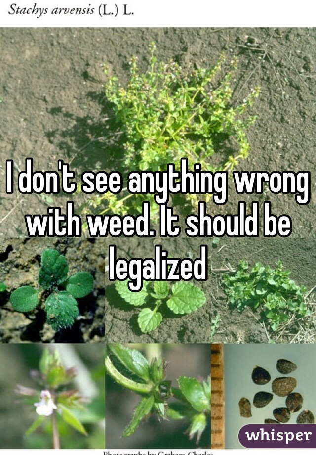 I don't see anything wrong with weed. It should be legalized