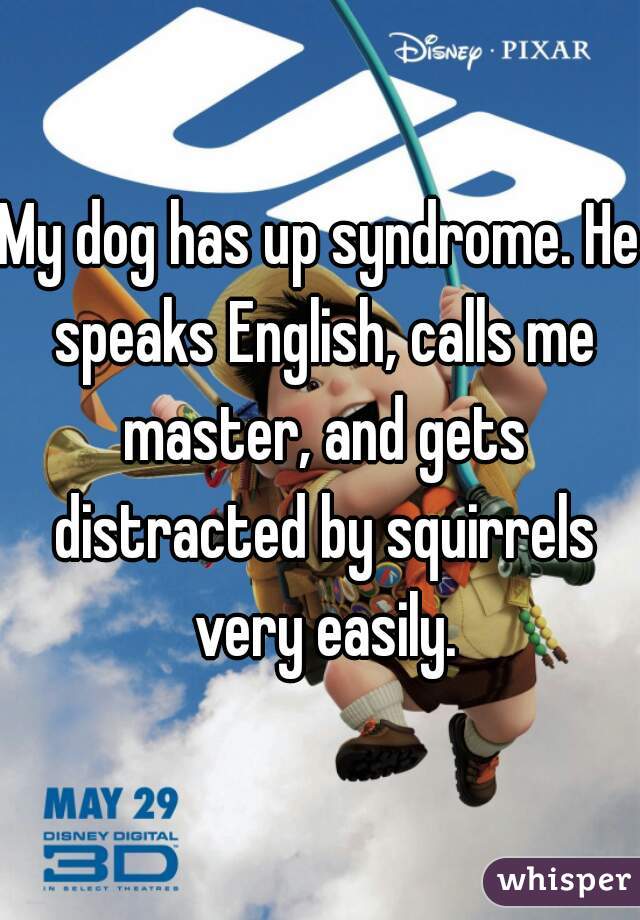 My dog has up syndrome. He speaks English, calls me master, and gets distracted by squirrels very easily.