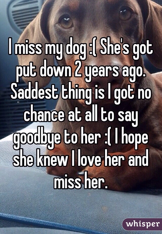 I miss my dog :( She's got put down 2 years ago. Saddest thing is I got no chance at all to say goodbye to her :( I hope she knew I love her and miss her. 