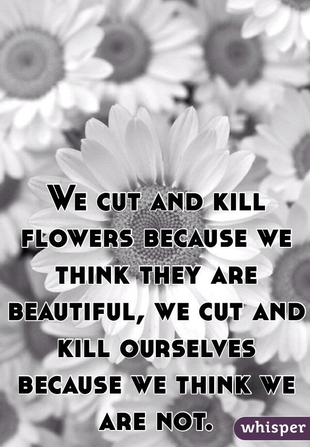 We cut and kill flowers because we think they are beautiful, we cut and kill ourselves because we think we are not.