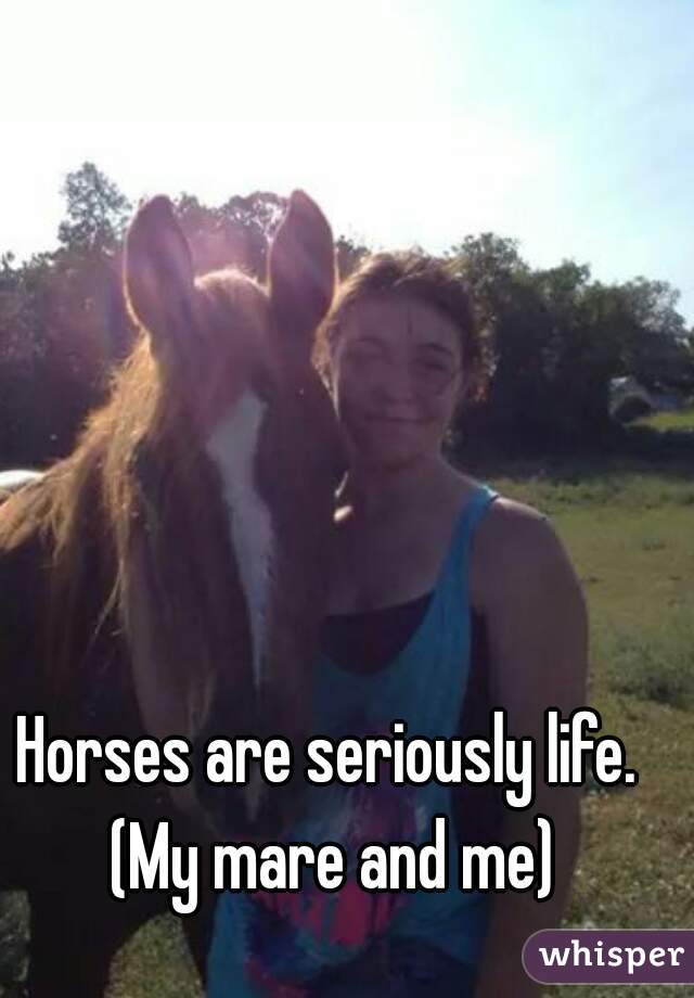 Horses are seriously life. (My mare and me)