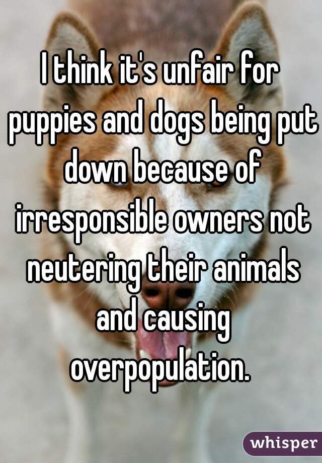 I think it's unfair for puppies and dogs being put down because of irresponsible owners not neutering their animals and causing overpopulation. 