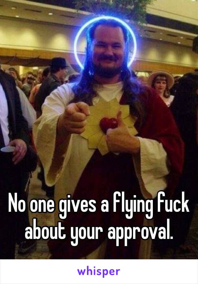 No one gives a flying fuck about your approval. 