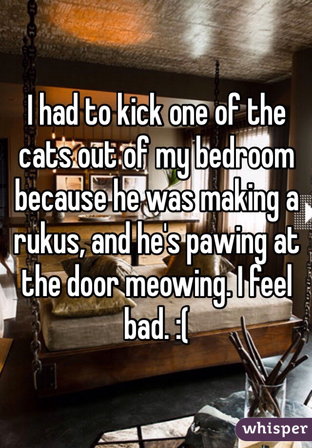 I had to kick one of the cats out of my bedroom because he was making a rukus, and he's pawing at the door meowing. I feel bad. :(