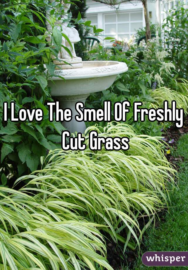 I Love The Smell Of Freshly Cut Grass
